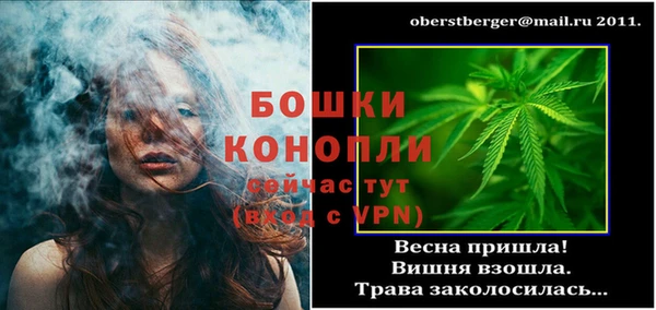 гидра Абаза