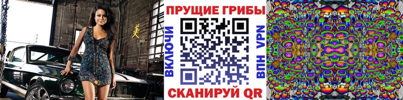 KRAKEN tor  Южа  Псилоцибиновые грибы Cubensis 
